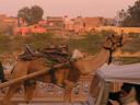 Street traffic in Bikaner.